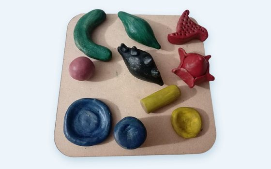 The tray of tactile clay figurines